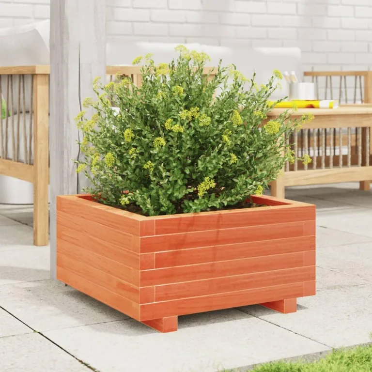 Gecheer Pflanzkübel Wachsbraun 50x50x26 5 cm Massivholz Kiefer großes Volumen für Pflanzen Gemüse und Kräuter im Garten – Bild 4