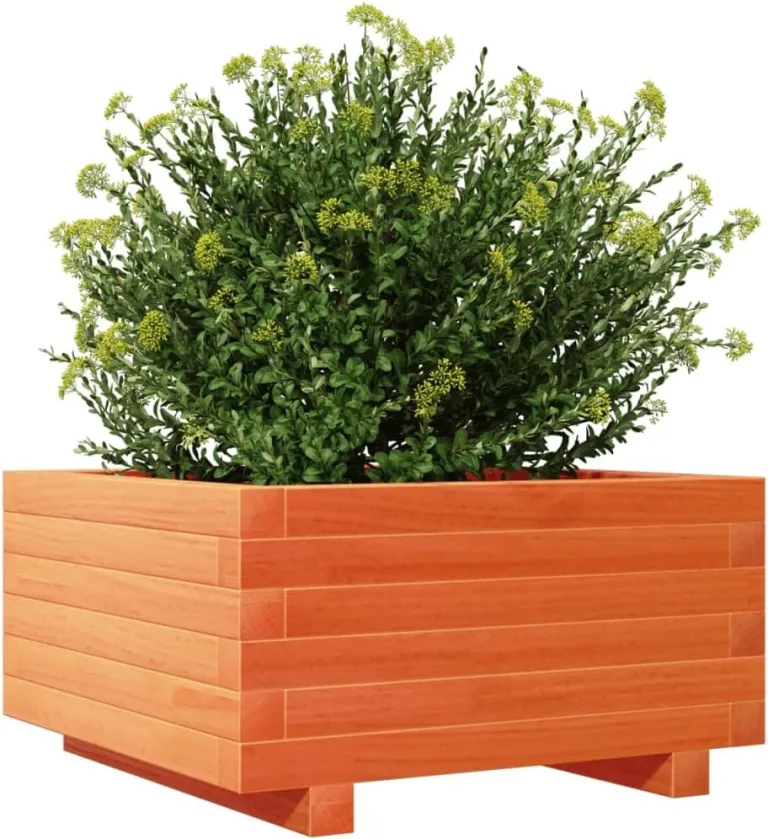 Gecheer Pflanzkübel Wachsbraun 50x50x26 5 cm Massivholz Kiefer großes Volumen für Pflanzen Gemüse und Kräuter im Garten – Bild 5