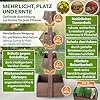 TTL GARDEN Vertikal Hochbeet 4 Etagen aus Holz 140x85x45cm braun - Vertikalbeet & Kräuterhochbeet mit 4 Etagen & Folie - Tannenholz wetterfest - Blumenkasten Kräutertreppe für Balkon Garten Terrasse - Thumbnail 2