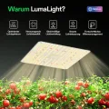 VIVOSUN Grow Lampe100W LED Pflanzenlampe, Vollspektrum Lumalight Lampe mit Hohem PPFD & Dimmfunktion, Intelligente Pflanzenbeleuchtung für Zimmerpflanzen, Growzelt, Gemüse & Blüte - Thumbnail 2