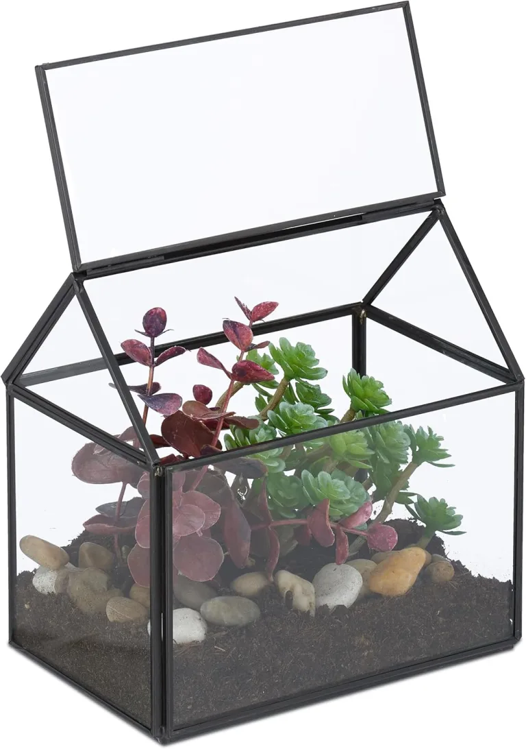 Relaxdays Pflanzenterrarium, Glas & Kupfer, HBT: 15x15x10 cm, Deko Glashaus Kakteen & Moos, Glaskasten Fensterbank, gold – Bild 7