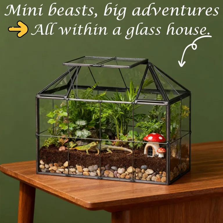 Mini Gewächshaus Fensterbank Glas 23,3 x 13,6 x 18cm Pflanzen Terrarium Klein Flaschengarten DIY (Keine Pflanzen enthalten) für Sukkulenten, Kakteen – Bild 5