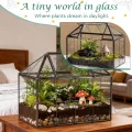 Mini Gewächshaus Fensterbank Glas 23,3 x 13,6 x 18cm Pflanzen Terrarium Klein Flaschengarten DIY (Keine Pflanzen enthalten) für Sukkulenten, Kakteen - Thumbnail 4