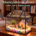 Mini Gewächshaus Fensterbank Glas 23,3 x 13,6 x 18cm Pflanzen Terrarium Klein Flaschengarten DIY (Keine Pflanzen enthalten) für Sukkulenten, Kakteen - Thumbnail 6
