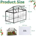 Mini Gewächshaus Fensterbank Glas 23,3 x 13,6 x 18cm Pflanzen Terrarium Klein Flaschengarten DIY (Keine Pflanzen enthalten) für Sukkulenten, Kakteen - Thumbnail 2