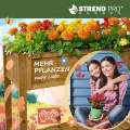 STREND PRO Hochbeet Balkon | 76cm(h) x 33cm(b) x 89(l) | Gemüsebeet Holz mit Ablage & wasserdichter Pflanzfolie | Kleines Hochbeet Schmales ideal für Balkon, Terrasse & Garten | Kräuterbeet - Thumbnail 7