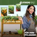 STREND PRO Hochbeet Balkon | 76cm(h) x 33cm(b) x 89(l) | Gemüsebeet Holz mit Ablage & wasserdichter Pflanzfolie | Kleines Hochbeet Schmales ideal für Balkon, Terrasse & Garten | Kräuterbeet - Thumbnail 4