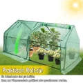Kleines Gewächshaus 140g/m² HDPE 180x90x90cm Mini Gewächshaus Mit 2 Rollladen Regenschutz UV-beständig Frostbeständig für Garten Balkon (Grün) - Thumbnail 6