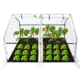 Kleines Gewächshaus 140g/m² HDPE 180x90x90cm Mini Gewächshaus Mit 2 Rollladen Regenschutz UV-beständig Frostbeständig für Garten Balkon (Grün) - Thumbnail 9