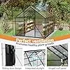Gewächshaus Aluminium Gartengewächshäuser mit 6 cm Fundament und 4 mm PC Platte Treibhaus Tomatenhaus Gartenhaus UV beständig Wetterfest für Garten, 310x250x205 cm – Bild 2