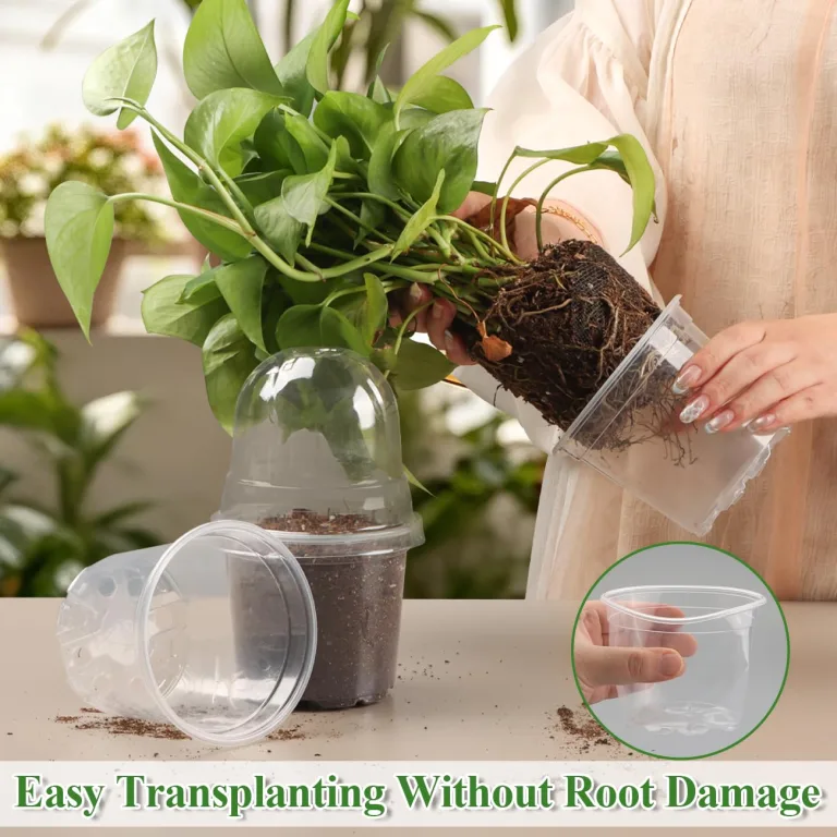 RooTrimmer 60 transparente Pflanztöpfe mit Feuchtigkeitskuppeln, 10,2 cm, Kunststoff-Pflanztöpfe mit Drainagelöchern für Setzlinge, transparenter Samen-Starttopf für Stecklinge, Anzucht – Bild 4