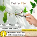 Raubmilben Mix gegen Thripse & Spinnmilben – 10 Tüten (5 x Cucumeris + 5 x Californicus) – Nützlinge für Zimmerpflanzen & Gewächshaus – biologisch & chemiefrei - Thumbnail 5