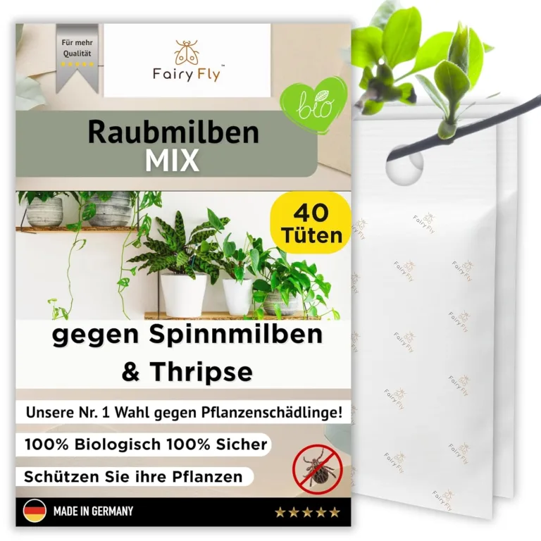 Raubmilben Mix gegen Thripse & Spinnmilben – 30 Tüten (15 x Cucumeris + 15 x Californicus) – Nützlinge für Zimmerpflanzen & Gewächshaus – biologisch & chemiefrei – Bild 7