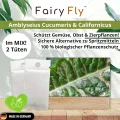 Raubmilben Mix gegen Thripse & Spinnmilben – 30 Tüten (15 x Cucumeris + 15 x Californicus) – Nützlinge für Zimmerpflanzen & Gewächshaus – biologisch & chemiefrei - Thumbnail 5
