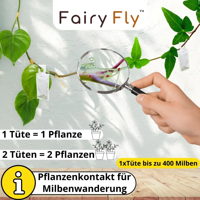 Raubmilben Mix gegen Thripse & Spinnmilben – 20 Tüten (10 x Cucumeris + 10 x Californicus) – Nützlinge für Zimmerpflanzen & Gewächshaus – biologisch & chemiefrei – Bild 5