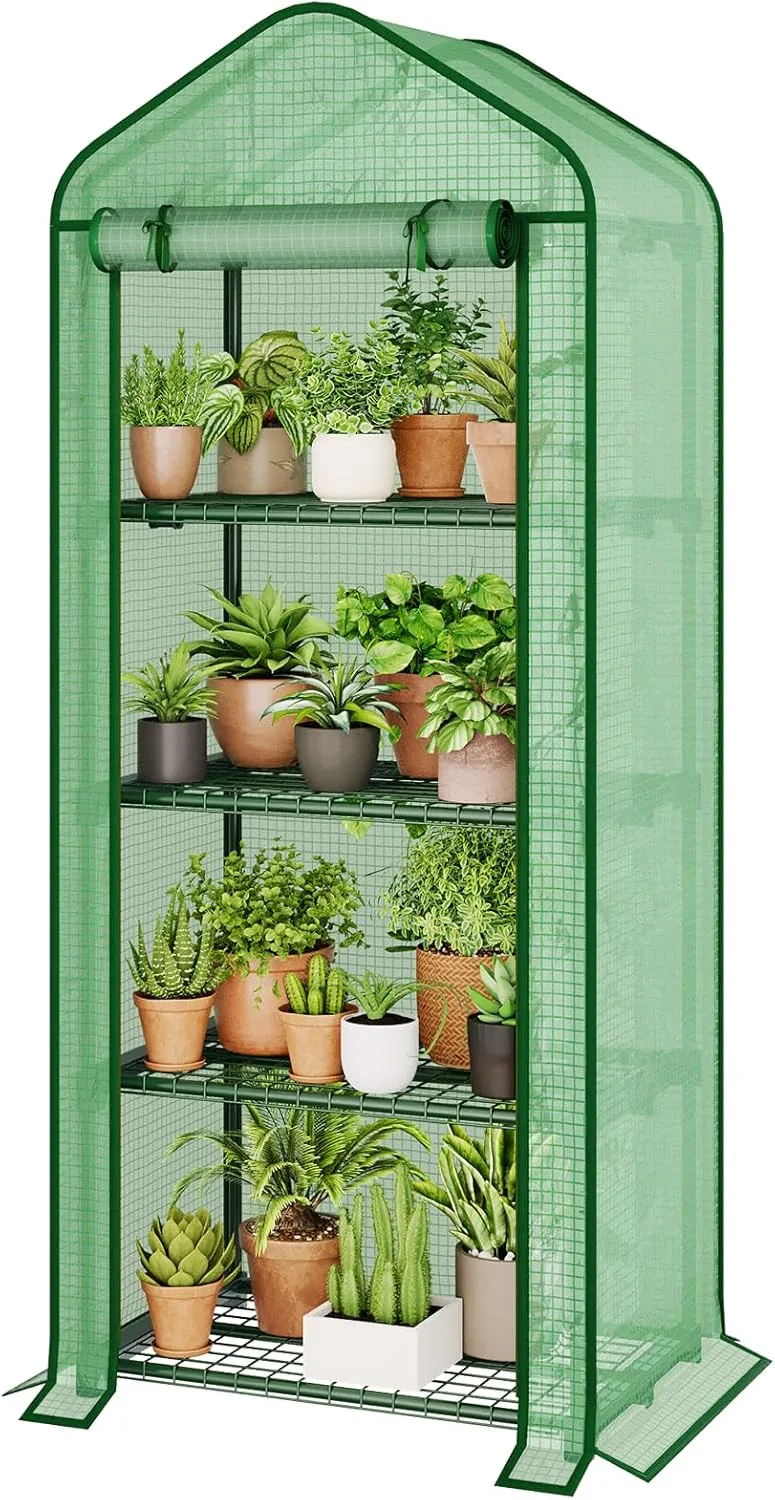 Bamworld Gewächshaus Klein Mini Gewächshaus Foliengewächshaus 4 Etagen Tomatengewächshaus Gewächshaus Balkon Für Gemüse Blumen Pflanzen Sämlinge Anzucht Im Garten Terrasse