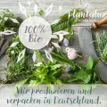 Plantaluz Bio Premium Saatgut Set P01 – 10 Sorten Tomaten & Kräuter Anzuchtset für Garten, Balkon & Indoor – inkl. FSC-Pflanzstäbchen – samenfestes, ungebeiztes & gentechnikfreies Saatgut - Thumbnail 8