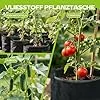 5 Stück 22L Vliesstoff Pflanzsack mit Griffe - Wiederverwendbare Pflanztasche für Tomaten, Kartoffeln, Erdbeeren, Gemüse, Blumen - Geeignet für Garten, Gewächshaus, Balkon, Terrasse – Bild 2