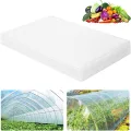 Transparent Gewächshausfolie, 2 x 10M Folie für Gewächshaus Winterfest Extra Dick Reißfest Polyethylen Gartenfolie, Plastikfoliefür Folientunnel für Gartenarbeit Tomatenhaus Treibhaus - Thumbnail 1