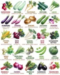 Bio Kräuter- & Gemüsesamen im 100er Set - 100 Kräuter- & Gemüse Samen für den einfachen Anbau im Garten, Balkon oder Hochbeet - Pflanzensamen - Saatgut - Thumbnail 6
