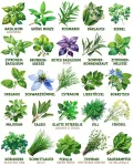 Bio Kräuter- & Gemüsesamen im 100er Set - 100 Kräuter- & Gemüse Samen für den einfachen Anbau im Garten, Balkon oder Hochbeet - Pflanzensamen - Saatgut - Thumbnail 7