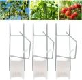 Fabater Tomaten-Rollenhaken, Starkes Schnur-Stützset, 6-teilig, Pflanzenhaken, Verzinkter Stahldraht, Stabil für Gewächshaus-Spalier, Bauernhöfe, Wachstumssaison - Thumbnail 3