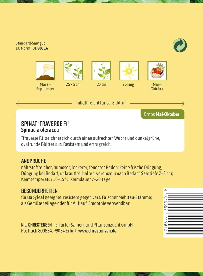 Chrestensen Eissalat Great Lakes 118 Samen, Knackiger Kopfsalat, Hitzebeständig, Vitaminreich, Für Sommeranbau – Bild 11