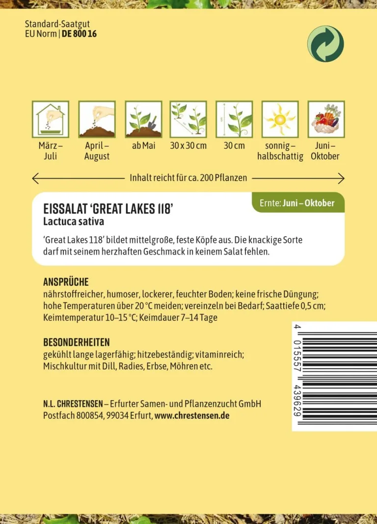 Chrestensen Eissalat Great Lakes 118 Samen, Knackiger Kopfsalat, Hitzebeständig, Vitaminreich, Für Sommeranbau – Bild 3