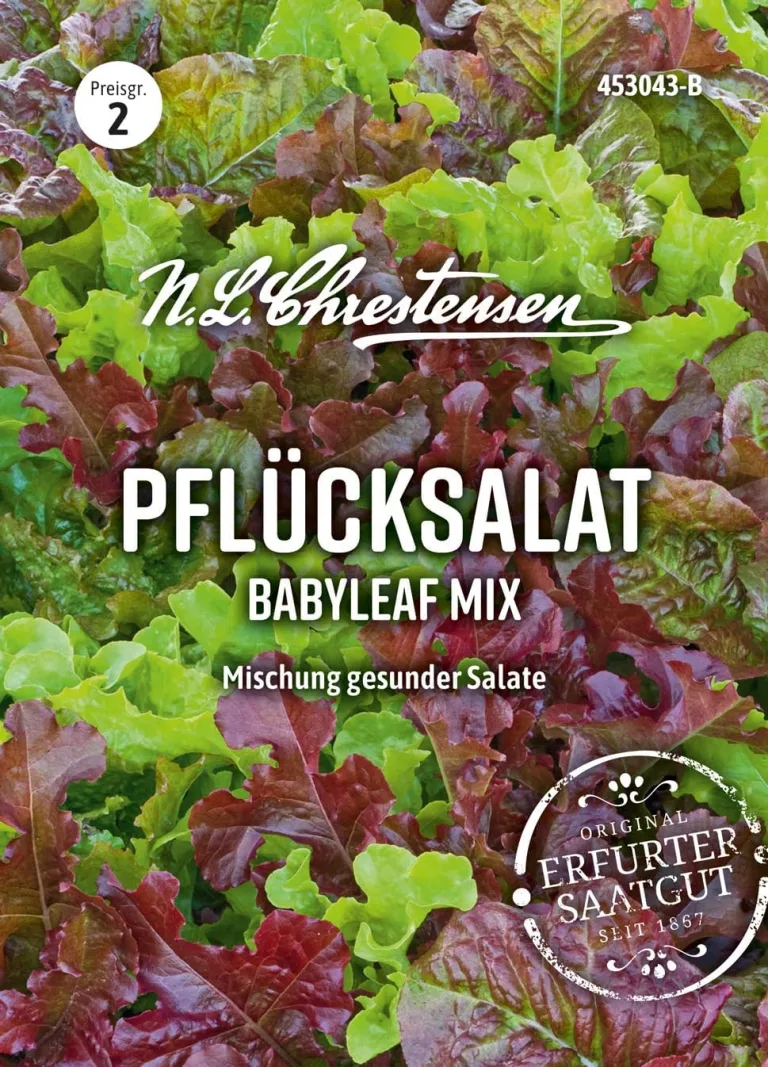 Chrestensen Eissalat Great Lakes 118 Samen, Knackiger Kopfsalat, Hitzebeständig, Vitaminreich, Für Sommeranbau – Bild 8