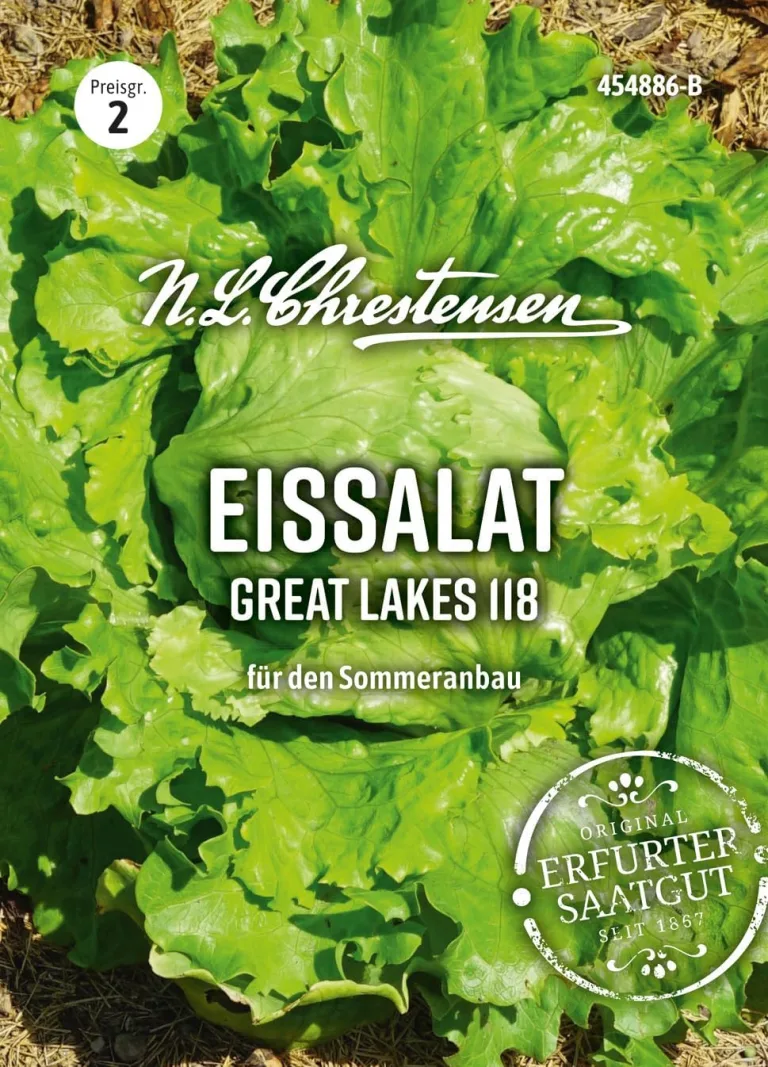 Chrestensen Eissalat Great Lakes 118 Samen, Knackiger Kopfsalat, Hitzebeständig, Vitaminreich, Für Sommeranbau – Bild 1