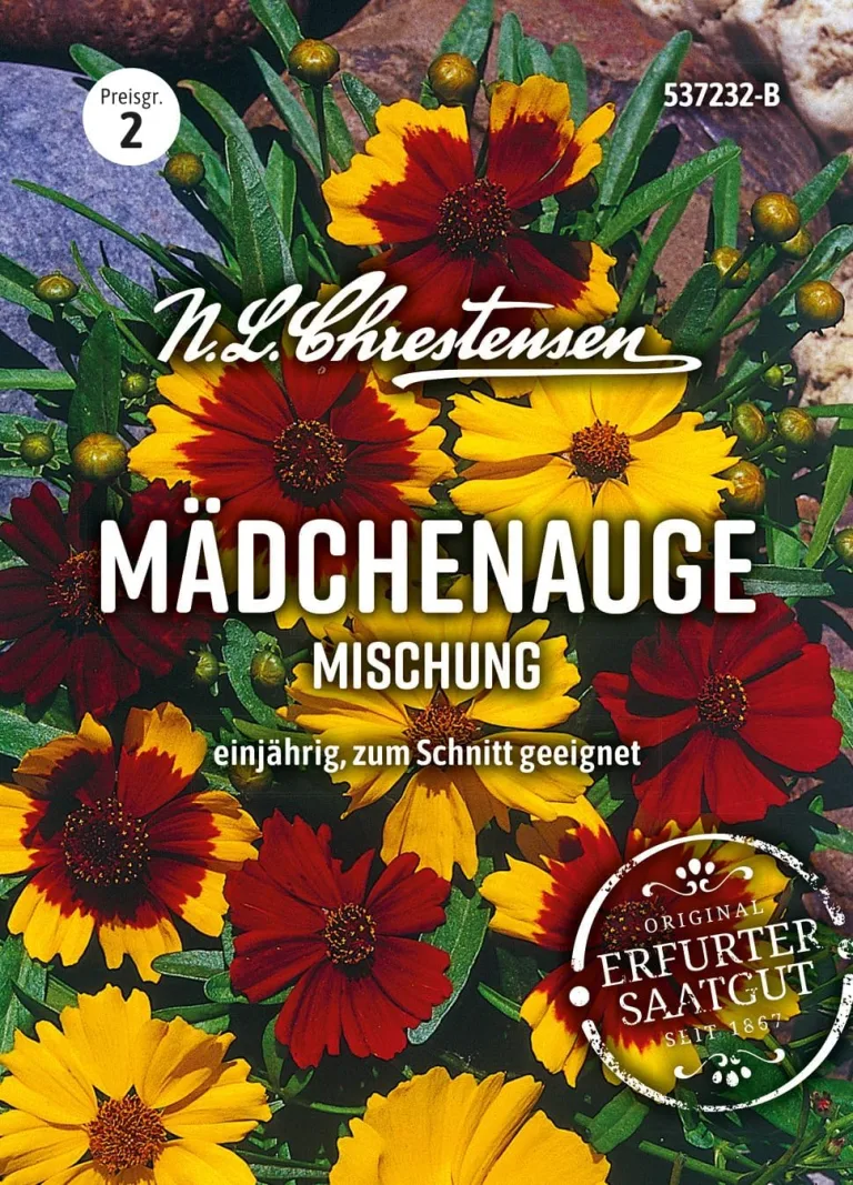 Chrestensen Saatgut Dill Annette – Bild 5