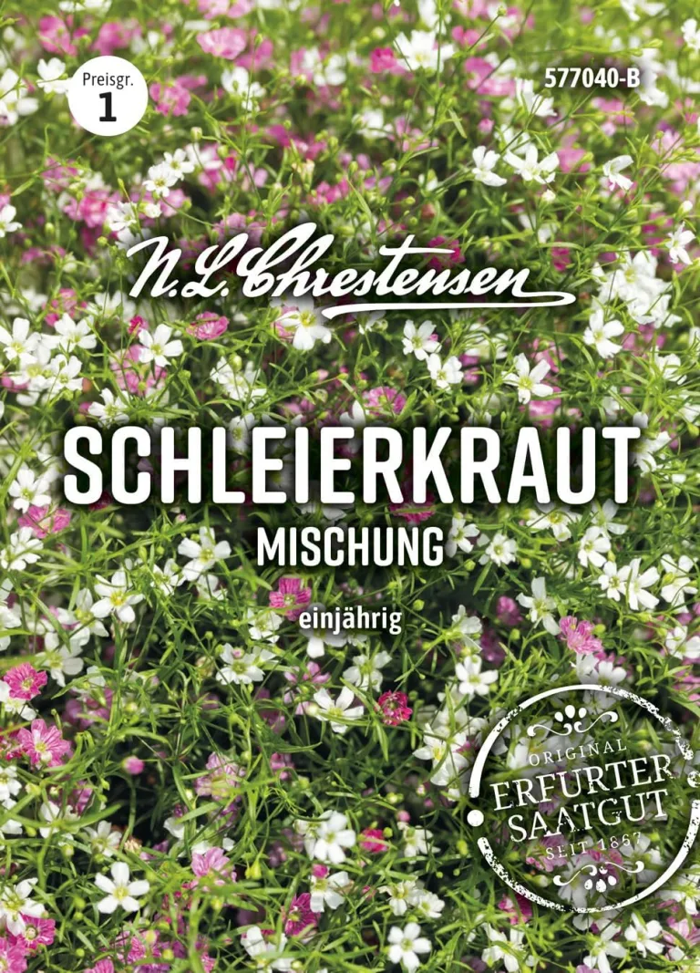 Chrestensen Saatgut Dill Annette – Bild 8