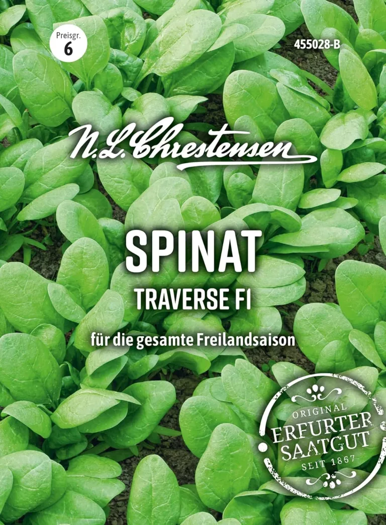 Chrestensen Saatgut Kichererbsen – Bild 5