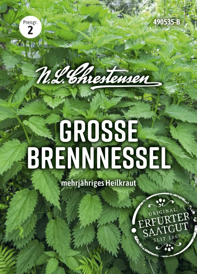 Chrestensen Saatgut Große Brennnessel – Bild 2