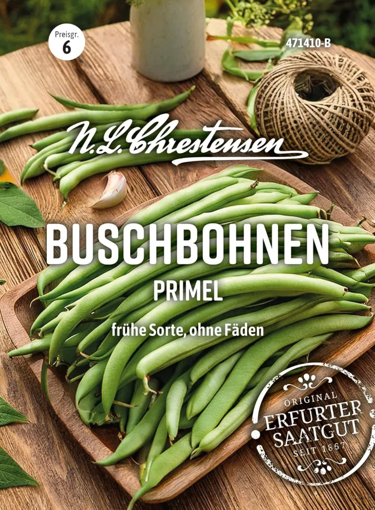 Chrestensen Saatgut Buschbohnen Golden Teepee Gluckentyp – Bild 13