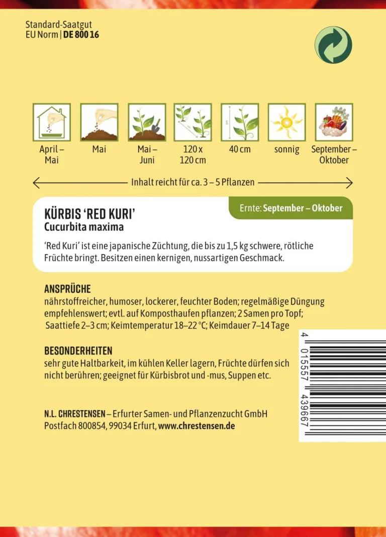 Chrestensen Kürbis Red Kuri Samen - Hokkaido Kürbis Saatgut - 1-3kg Früchte - Aromatisch Nussig - Für Garten Hochbeet - Cucumis maxima - Samenfest – Bild 3