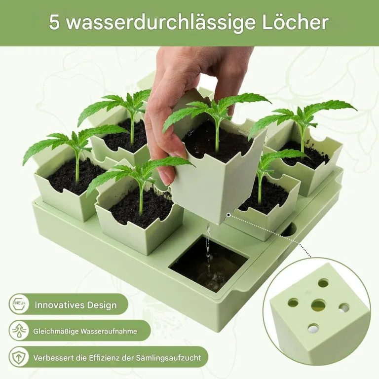 Anzuchtschale mit Untersetzer (Anzuchttöpfe) – Bild 5