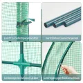 LARMNEE Wandseitiges Gewächshaus, Tomatengewächshaus mit 2 Rolltüren, 200 x 100 x 210 cm, PE Foliengewächshaus, Tomatenhaus für Blumen, Gemüse und Pflanzen, Balkon, Garten und Terrasse, Grün EGN72GH02 - Thumbnail 7