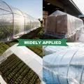 Transparent Gewächshausfolie, Extra Dick Polyethylenfolie, Reißfest Gartenfolie, Gewächshaus Folie für Treibhaus Tomatenhaus Gartenarbeit(Size:4x15m) - Thumbnail 7