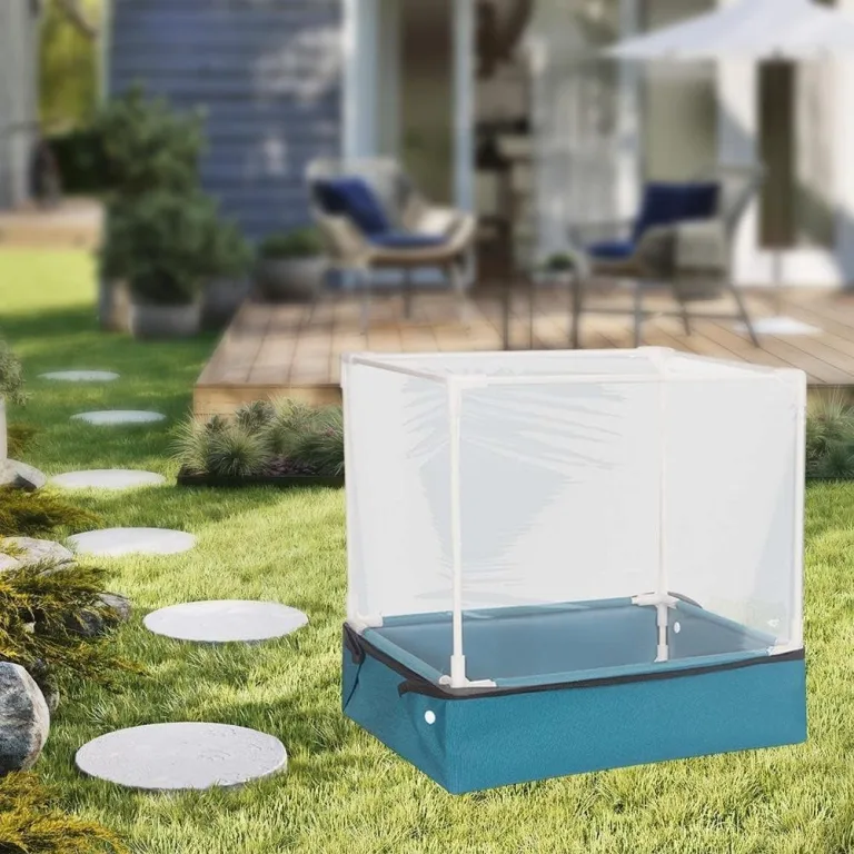 Pilzzucht-Set für den Heimgebrauch, transparentes Mini-Gewächshaus zum Anbau von Pilzen und Sukkulenten, faltbare Pflanzenschutzabdeckung mit Pilzhaus) – Bild 6