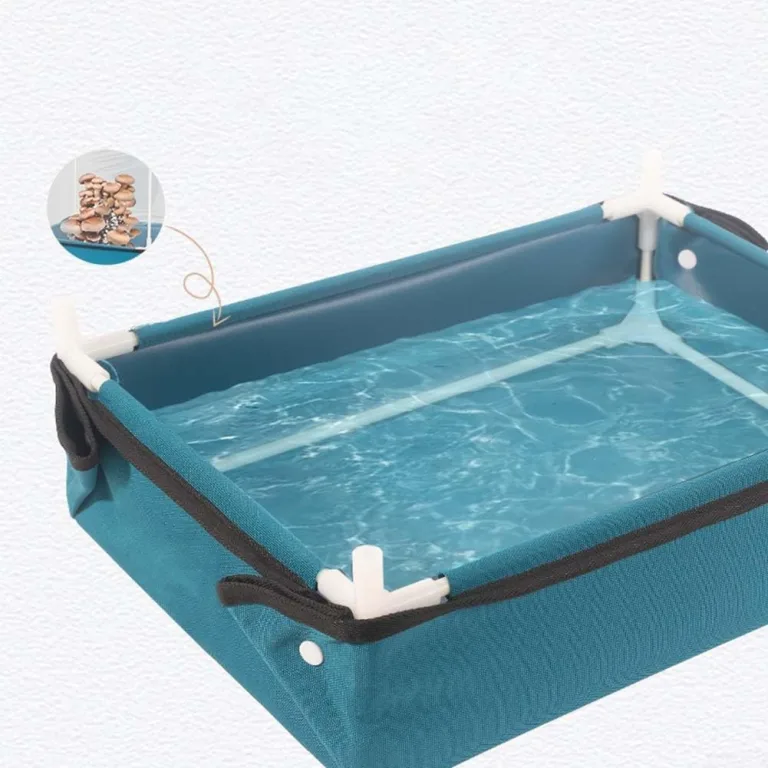 Pilzzucht-Set für den Heimgebrauch, transparentes Mini-Gewächshaus zum Anbau von Pilzen und Sukkulenten, faltbare Pflanzenschutzabdeckung mit Pilzhaus) – Bild 8