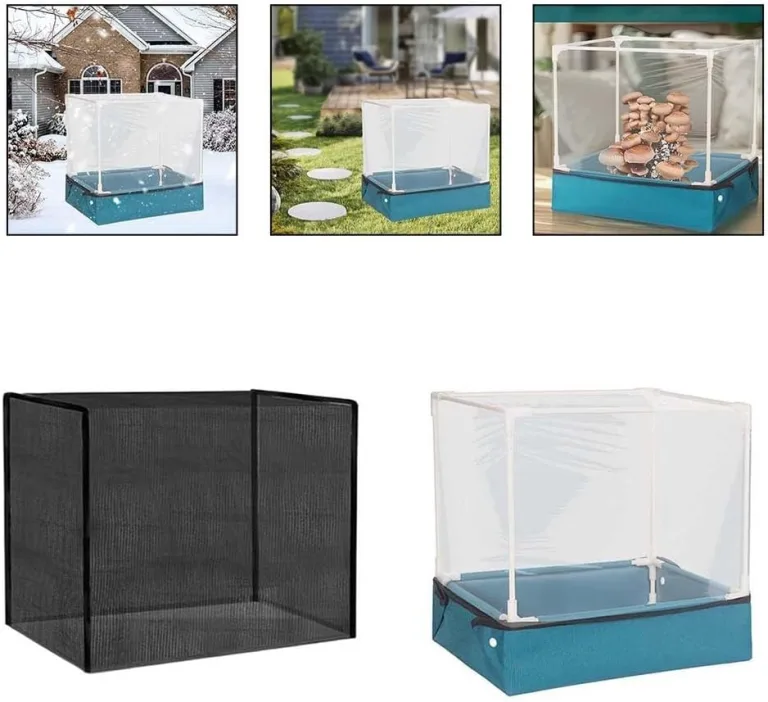 Pilzzucht-Set für den Heimgebrauch, transparentes Mini-Gewächshaus zum Anbau von Pilzen und Sukkulenten, faltbare Pflanzenschutzabdeckung mit Pilzhaus) – Bild 9