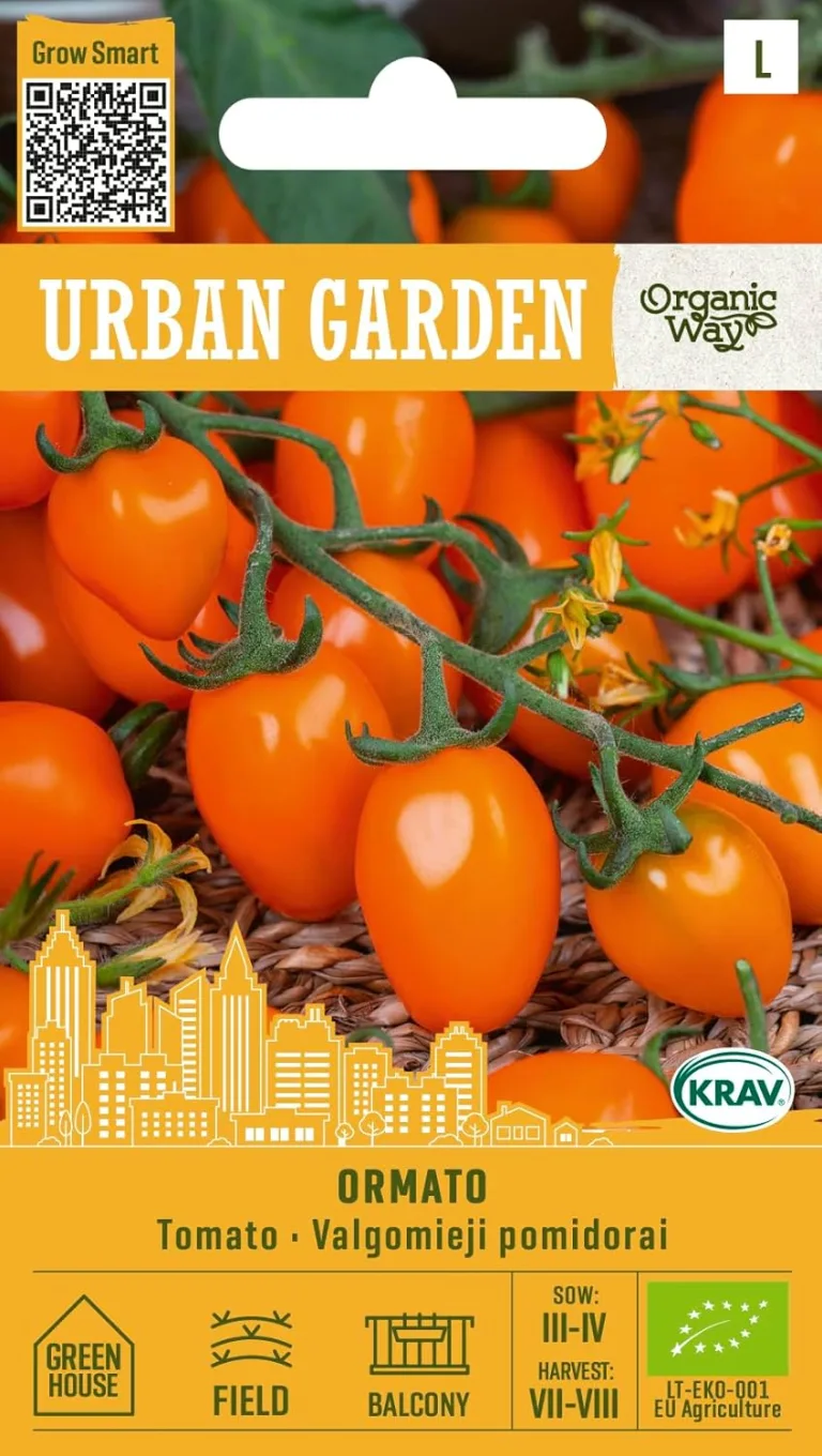 Organic Way | Tomaten - BRONZY samen | Frühe Cocktailtomate, süß & aromatisch | Saftig 12 g Früchte | Für Balkon, Gewächshaus & sonnige Standorte im Freien | Tomaten Saatgut | 1 Pack – Bild 2