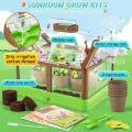KAHEIGN Mini-Gewächshaus-Set für Kinder Gewächshaus, Pflanzkasten & Samen mit verbesserter Bewässerung – Mini Kindergärten Entdeckungsreiches Lernspielzeug für Jungen und Mädchen - Thumbnail 2