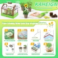 KAHEIGN Mini-Gewächshaus-Set für Kinder Gewächshaus, Pflanzkasten & Samen mit verbesserter Bewässerung – Mini Kindergärten Entdeckungsreiches Lernspielzeug für Jungen und Mädchen - Thumbnail 3