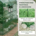 Bamworld Gewächshaus begehbar Garten Außen 145x145x195cm - Bamworld Foliengewächshaus mit Regalen und Fliegengitter-Fenster, Großes Tomatengewächshaus, Grün - Thumbnail 7