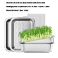 Greens Anzuchtschalen, groß, rostfreier Edelstahl, Gartenpflanzenaufbewahrung, Mini-Pflanzen-Gewächshaus, für Gras, Innen- und Außenbereich, Garten, Zuhause, Büro - Thumbnail 6