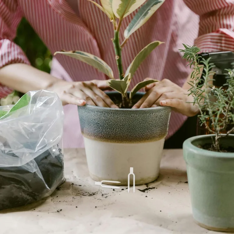 Gatuida 1 Set Erdbeerpflanzen-Pflanznadeln aus Kunststoff – Pflanzenstützclips, Befestigungsstifte aus Kunststoff für Erde – Rankgabeln, Gartenbefestigungsclips für Gewächshaus, Gartenspaliere, – Bild 5