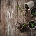 Gatuida 1 Set Erdbeerpflanzen-Pflanznadeln aus Kunststoff – Pflanzenstützclips, Befestigungsstifte aus Kunststoff für Erde – Rankgabeln, Gartenbefestigungsclips für Gewächshaus, Gartenspaliere, - Thumbnail 6