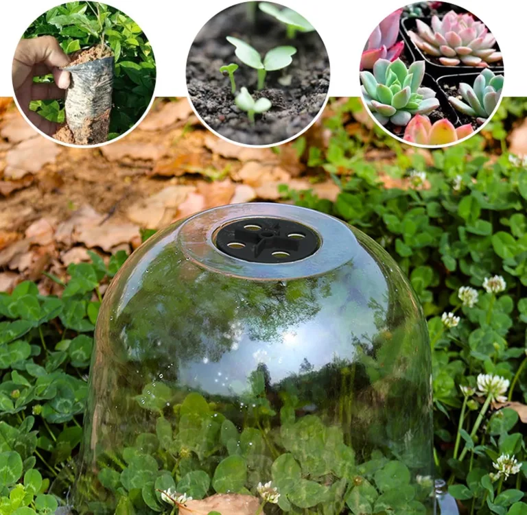 Wiederverwendbare Kunststoff Wachstumsabdeckung Fördert Eine Stabile Feuchtigkeitskontrolle Garten Und Gewächshaus Pflanzenschutz Unterschlupf Leichte Transparente Pflanzenabdeckung – Bild 4